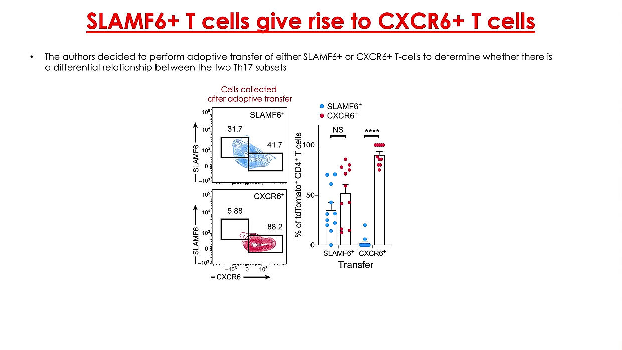 Stem-like intestinal Th17 cells give rise to pathogenic effector T cells during autoimmunity